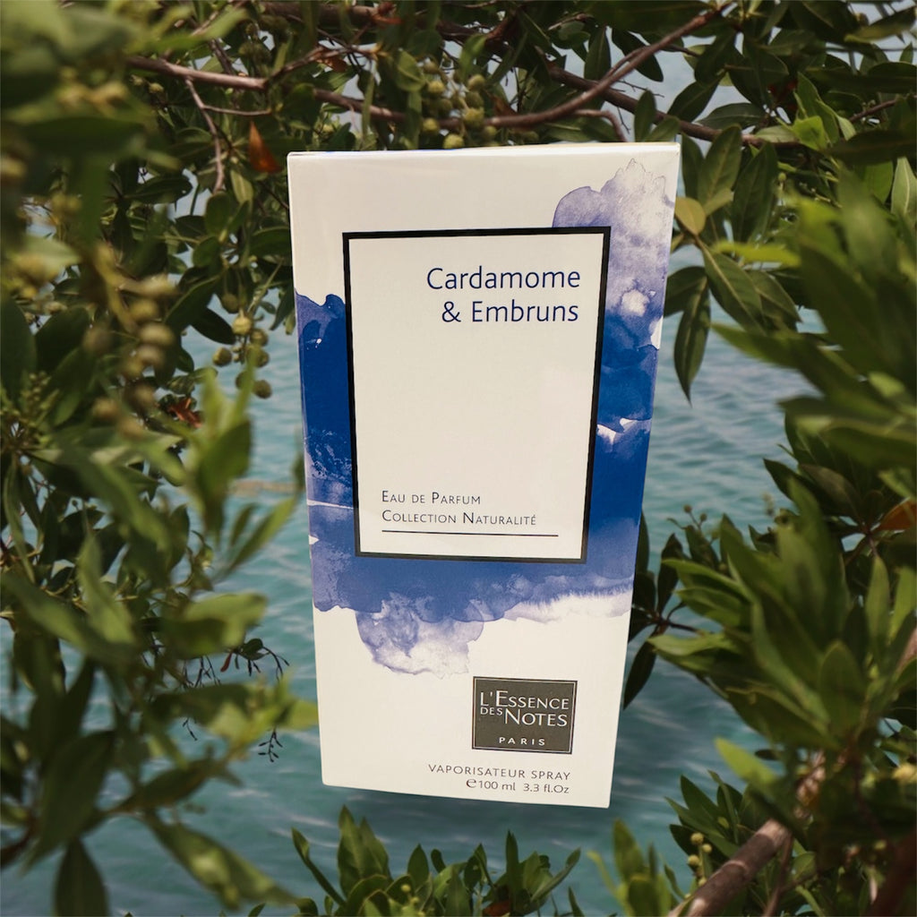 Parfum Cardamome & Embruns – Eau de Parfum 100 ml