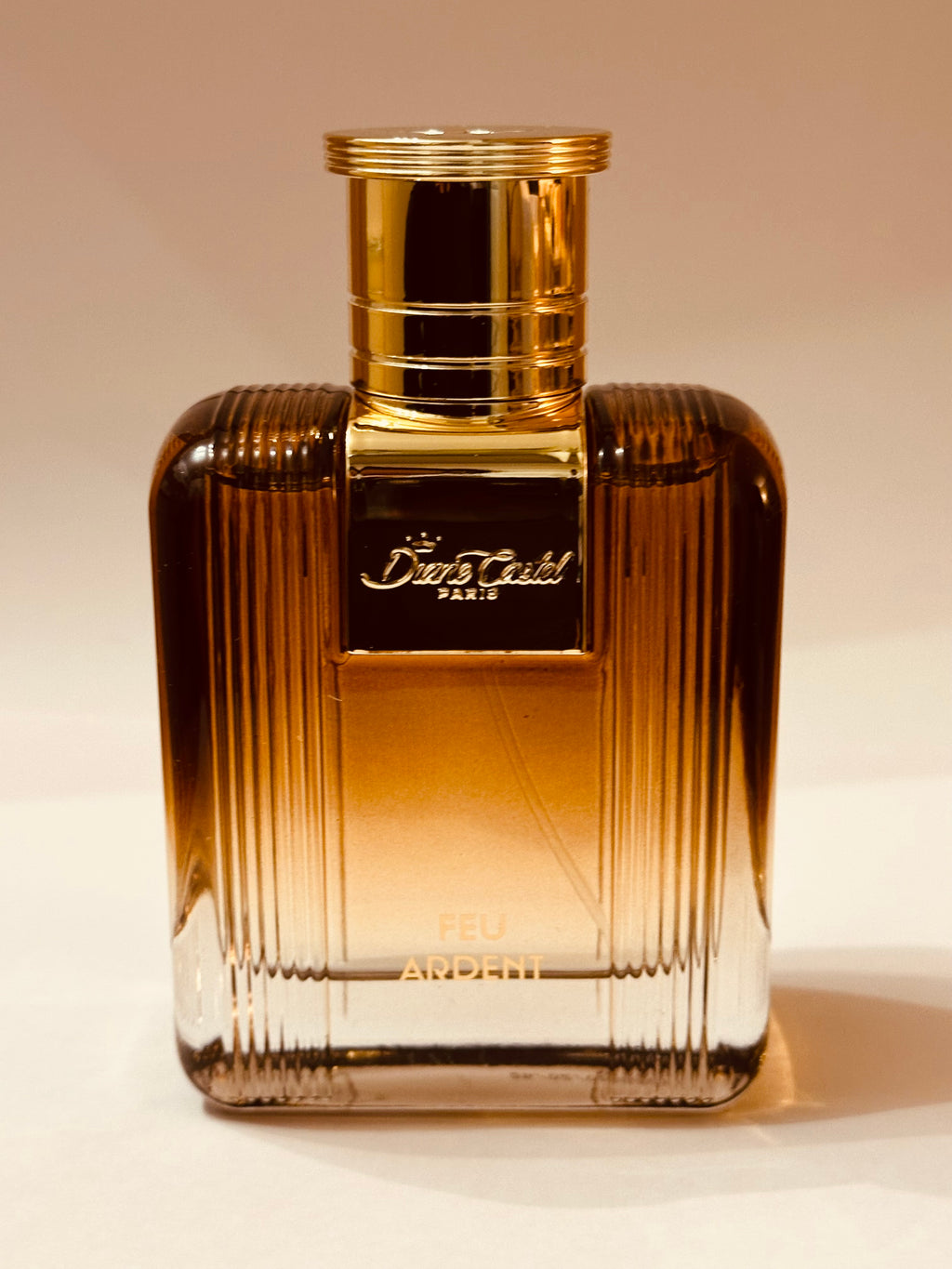 Feu Ardent de Diane Castel – Parfum Homme Eau de Parfum 100 ml, Notes Ambrées, Boisées et Épicées