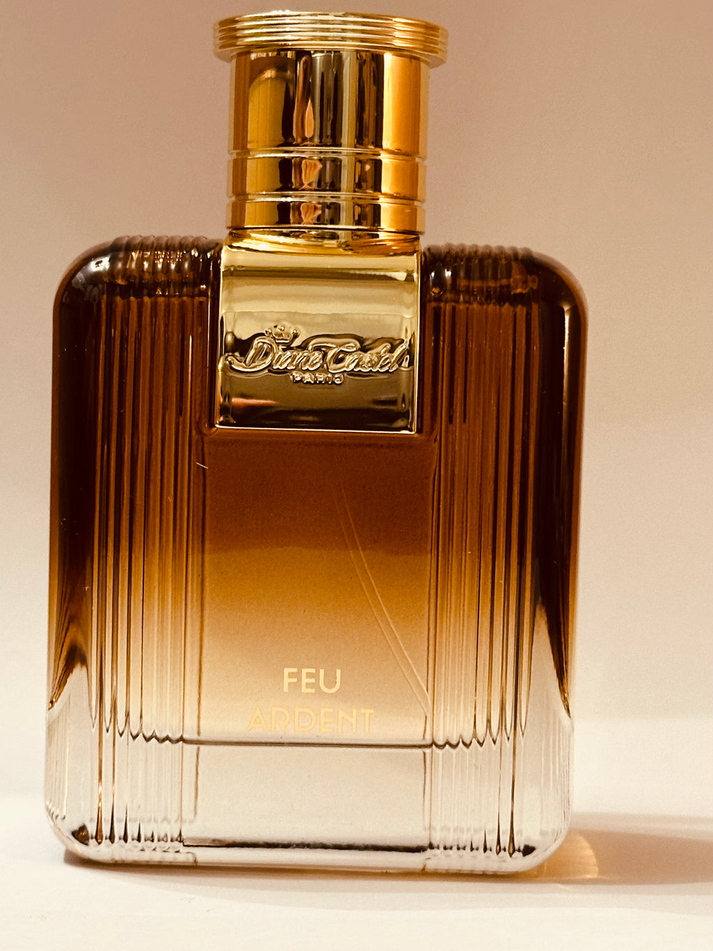Feu Ardent de Diane Castel – Parfum Homme Eau de Parfum 100 ml, Notes Ambrées, Boisées et Épicées