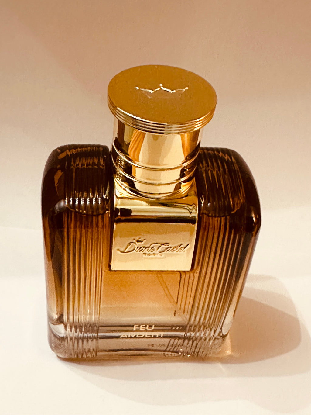 Feu Ardent de Diane Castel – Parfum Homme Eau de Parfum 100 ml, Notes Ambrées, Boisées et Épicées