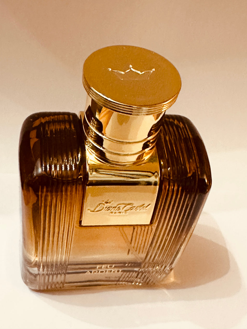 Feu Ardent de Diane Castel – Parfum Homme Eau de Parfum 100 ml, Notes Ambrées, Boisées et Épicées
