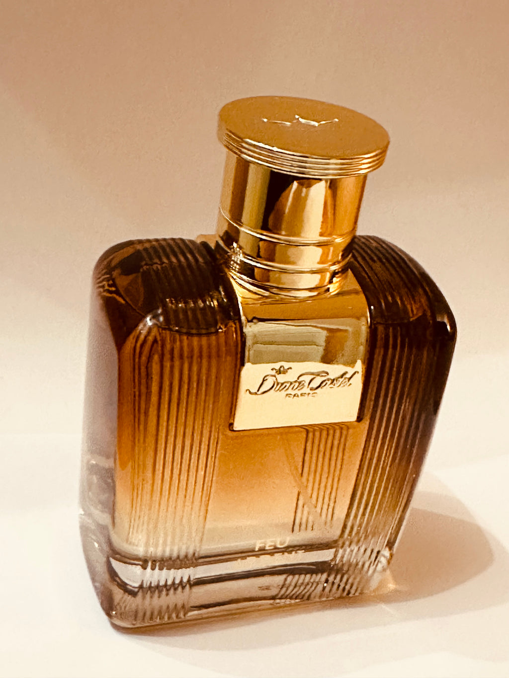 Feu Ardent de Diane Castel – Parfum Homme Eau de Parfum 100 ml, Notes Ambrées, Boisées et Épicées