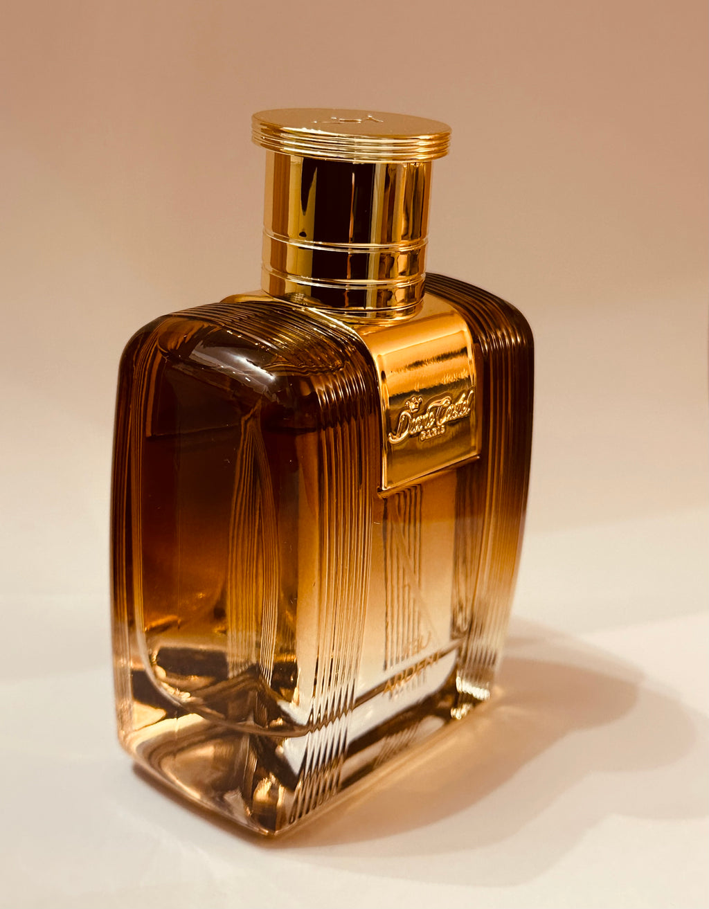 Feu Ardent de Diane Castel – Parfum Homme Eau de Parfum 100 ml, Notes Ambrées, Boisées et Épicées