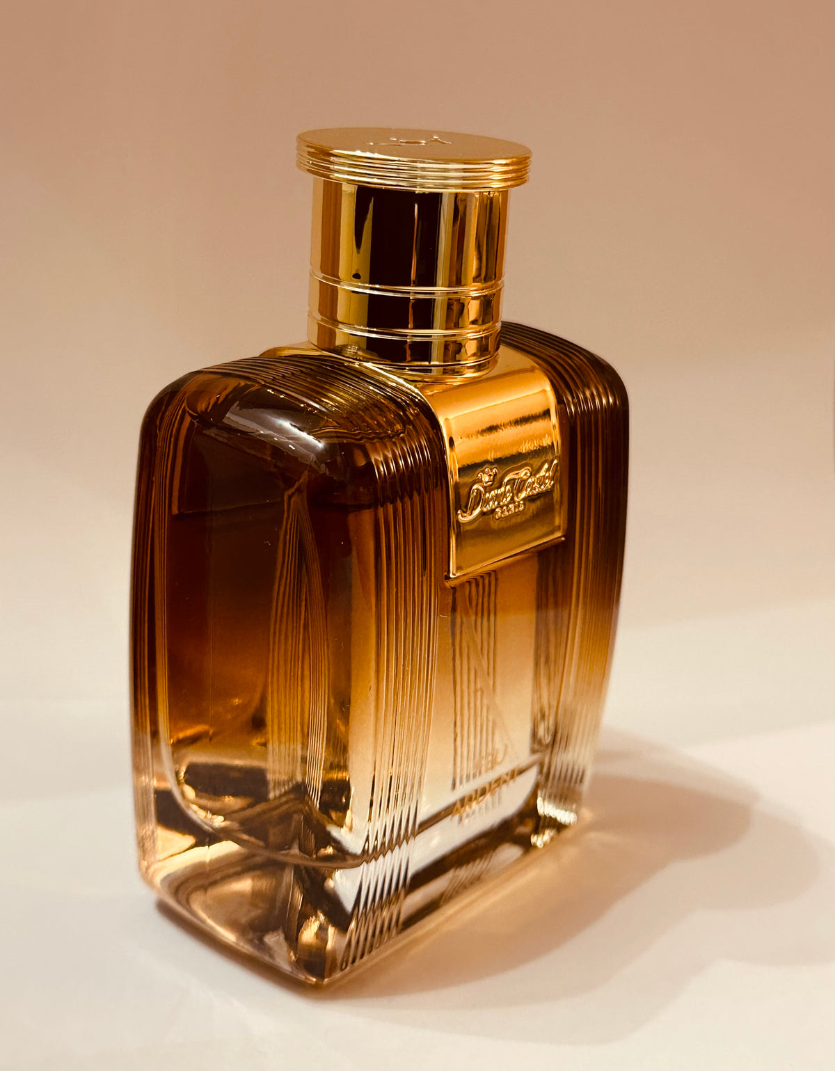Feu Ardent de Diane Castel – Parfum Homme Eau de Parfum 100 ml, Notes Ambrées, Boisées et Épicées