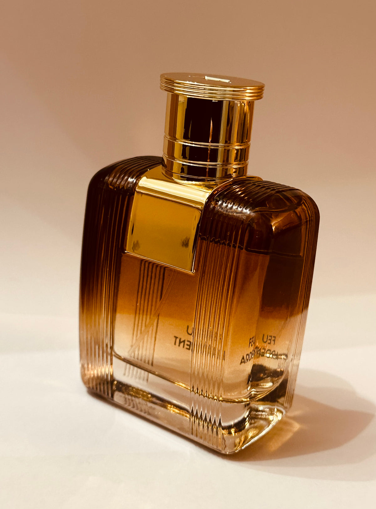 Feu Ardent de Diane Castel – Parfum Homme Eau de Parfum 100 ml, Notes Ambrées, Boisées et Épicées