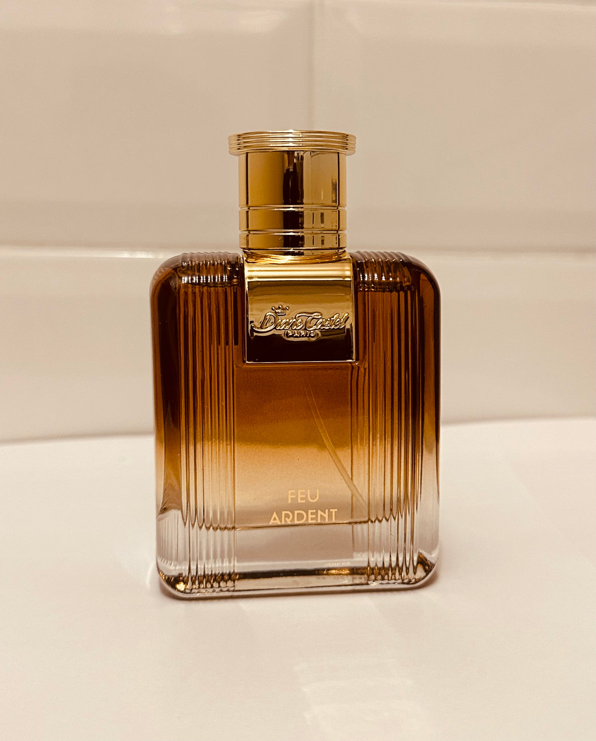 Feu Ardent de Diane Castel – Parfum Homme Eau de Parfum 100 ml, Notes Ambrées, Boisées et Épicées